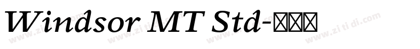 Windsor MT Std字体转换